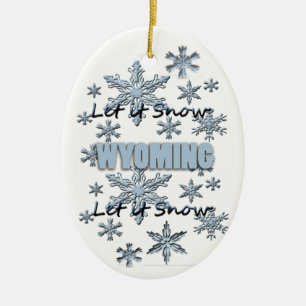 Laisser neiger Wyoming Ornement de Noël