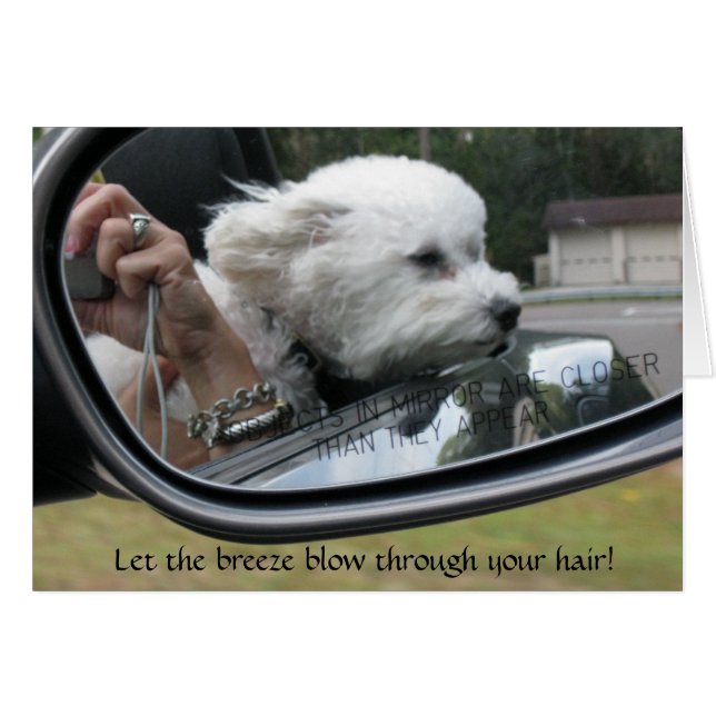 "Laissez la brise souffler à travers vos cheveux" (Devant horizontal)