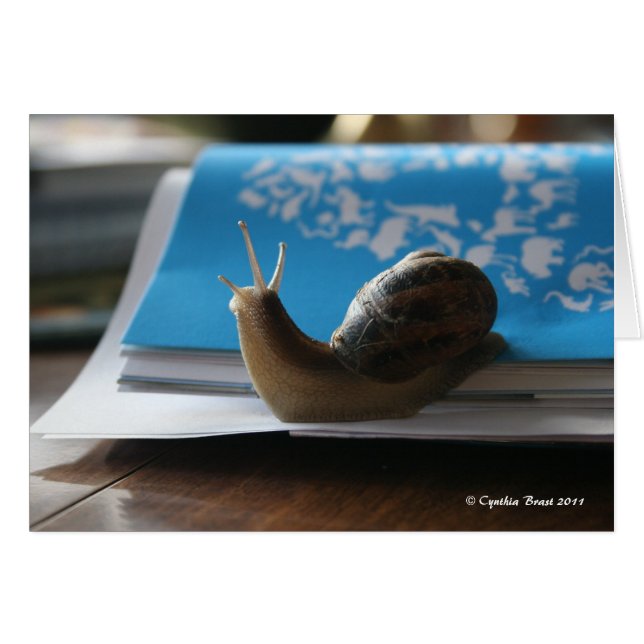 Laissez le soleil briller ! (Devant horizontal)