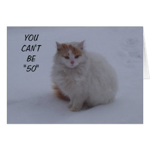 LAISSEZ-MOI JUSTE DIRE QUE VOUS AVEZ L'AIR "MEOW"