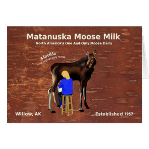 Lait d'orignal Matanuska