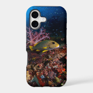 Laja Ampat Underwater