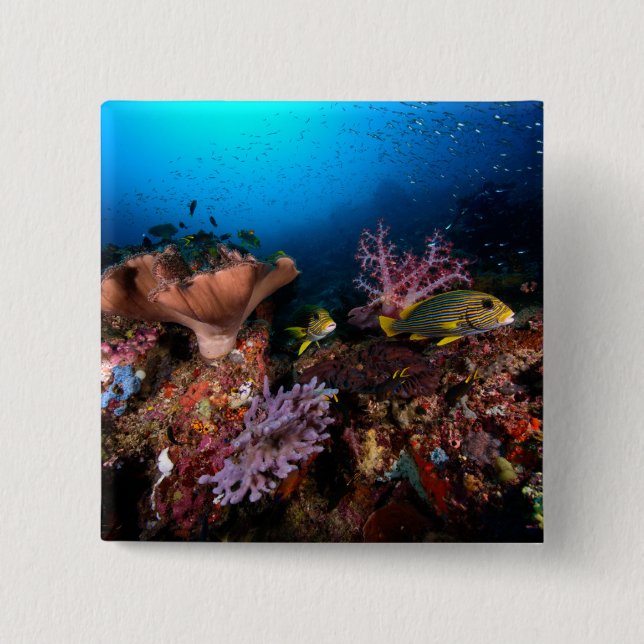 Laja Ampat Underwater 2 Inch Square Button (Front)