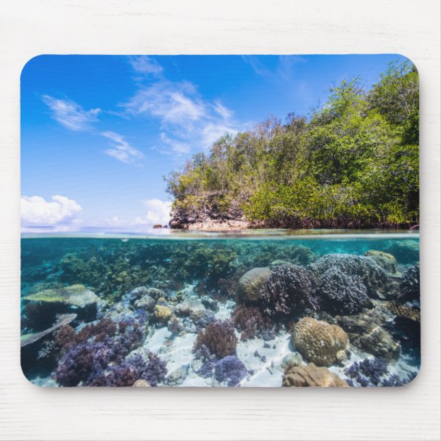 Laja Ampat Underwater 2 Mouse Pad (Front)