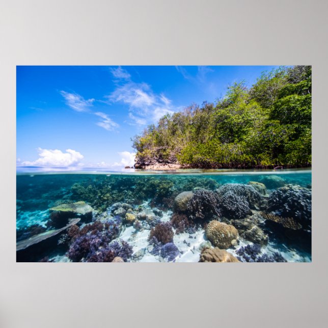 Laja Ampat Underwater 2 Poster (Front)