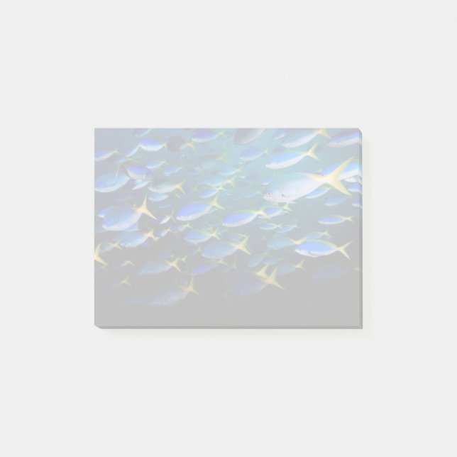 Laja Ampat Underwater 5 Post-it Notes (Front)