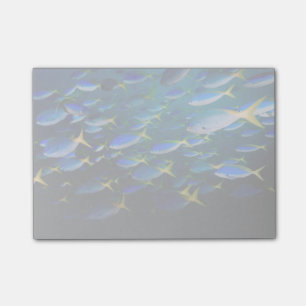Laja Ampat Underwater 5 Post-it Notes
