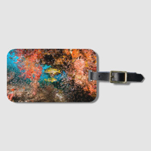 Laja Ampat Underwater 6 Luggage Tag