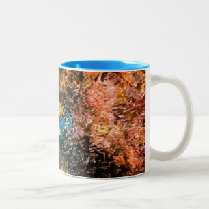 Laja Ampat Underwater 6 Two-Tone Coffee Mug