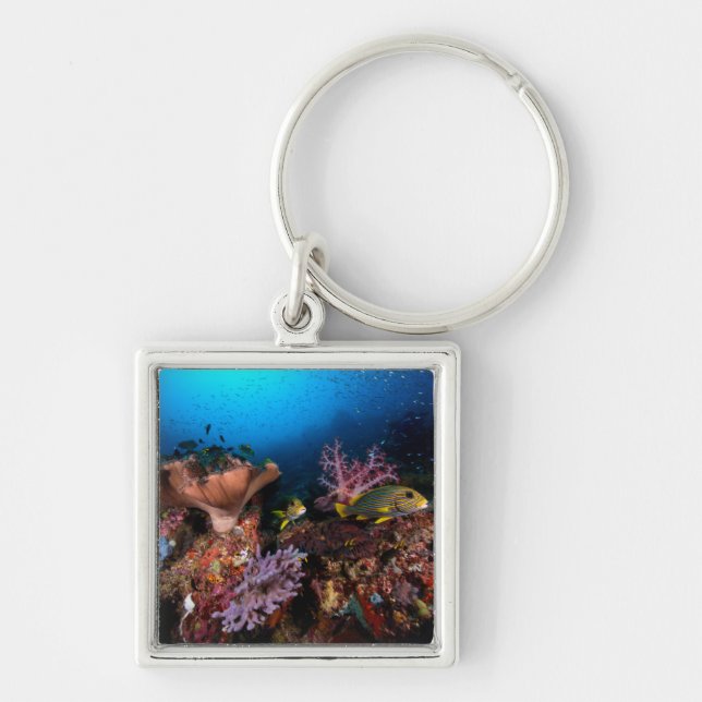 Laja Ampat Underwater Keychain (Front)