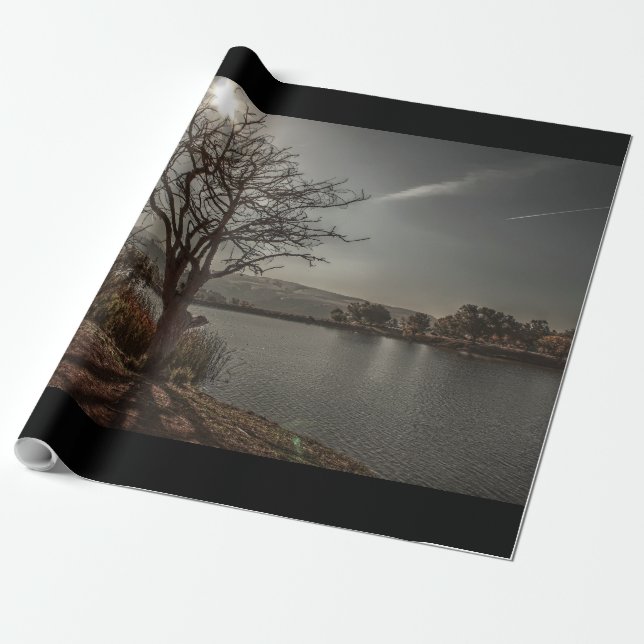 Lake 4 wrapping paper (Unrolled)