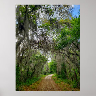 Lake Apopka Loop Trail, Florida Poster