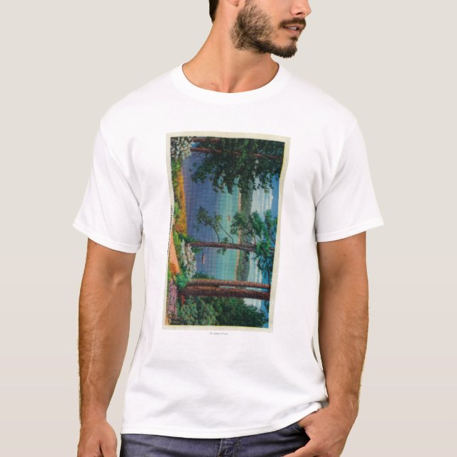 Lake Arrowhead ViewLake Arrowhead, CA 2 T-Shirt (Front)
