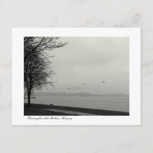 Lake Balaton scenery b&w Postcard