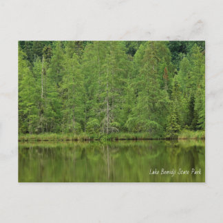 Lake Bemidji State Park Postcard
