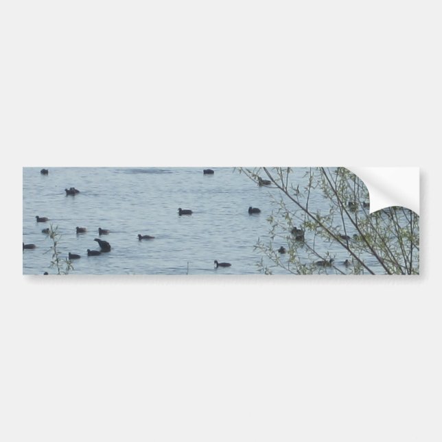 Lake Birds Bumper Sticker (Front)
