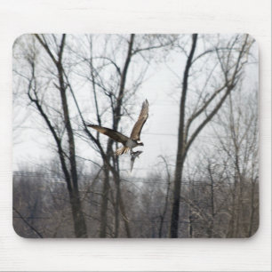 Lake Champlain Osprey Mouse Pad