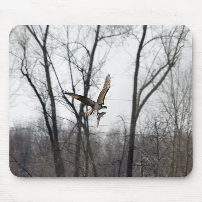 Lake Champlain Osprey Mouse Pad (Front)