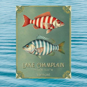 Lake Champlain Vermont New York nautical fish Postcard