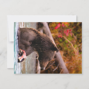 Lake Clark National Park Alaska Postcard