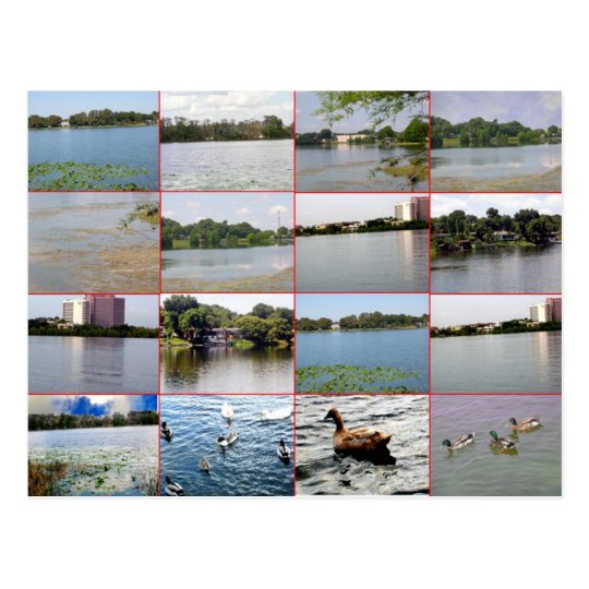 Lake Collage Postcard
