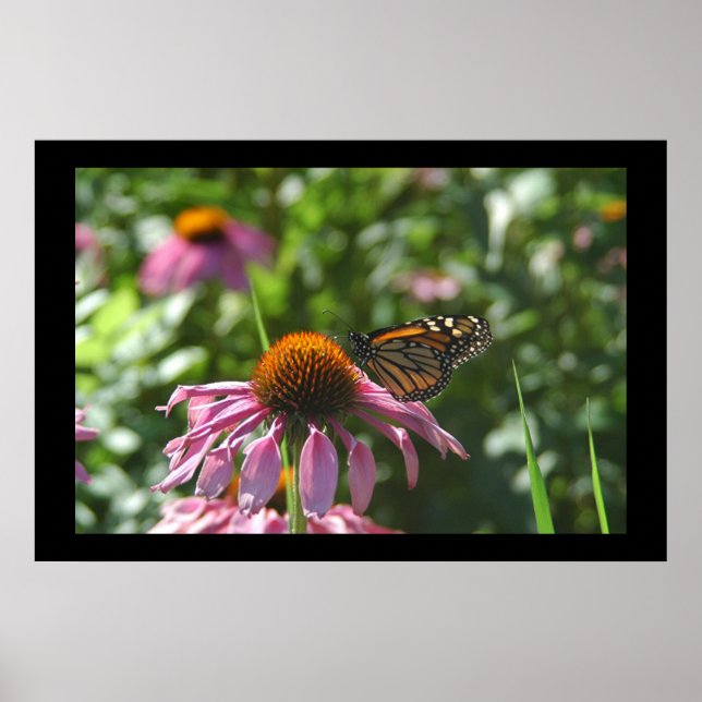 Lake Como Park Butterfly Poster (Front)