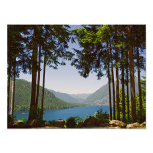 Lake Cushman Summer Print