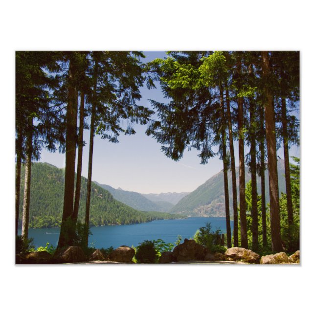 Lake Cushman Summer Print (Front)