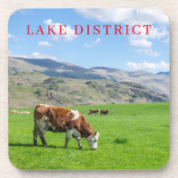 Lake District cow grazing view coasters