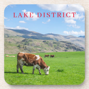 Lake District cow grazing view coasters