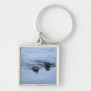 lake district cumbria england keychain