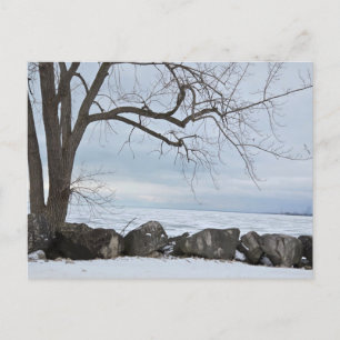 Lake Erie, Marblehead, Ohio Postcard