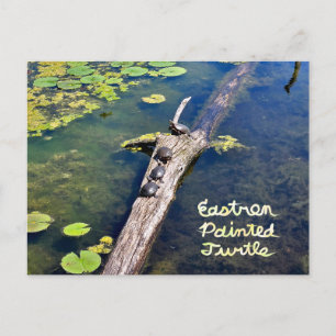Lake Erie Metropark Turtle Log Vertical with Text Postcard