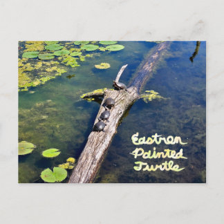 Lake Erie Metropark Turtle Log Vertical with Text Postcard