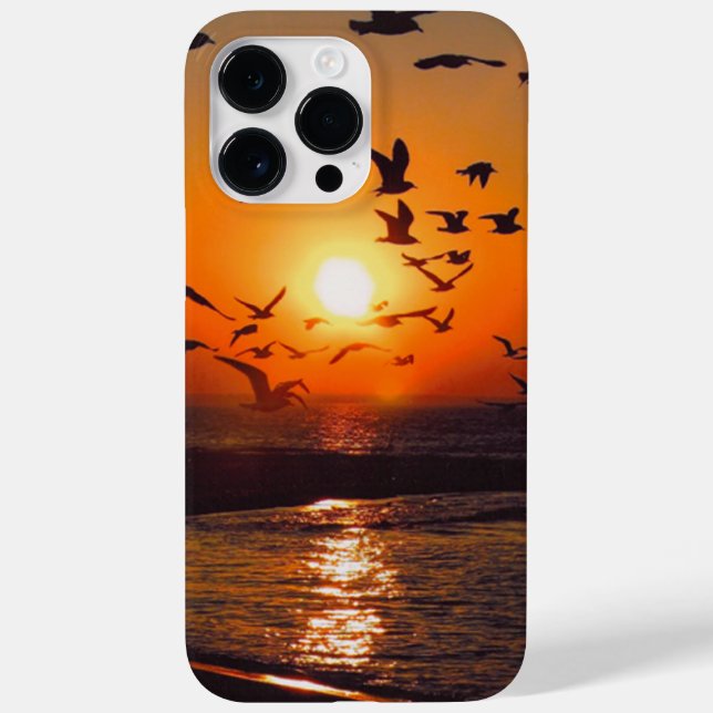 Lake Erie Sunset Case-Mate iPhone Case (Back)