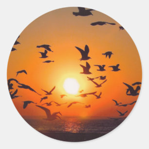 Lake Erie Sunset Classic Round Sticker