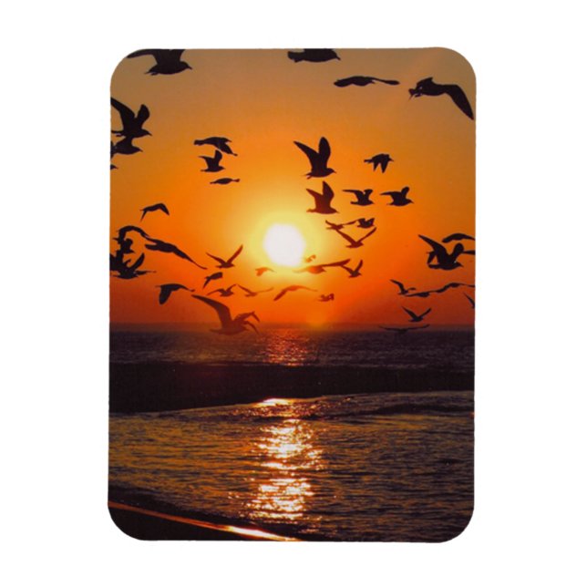 Lake Erie Sunset Magnet (Vertical)