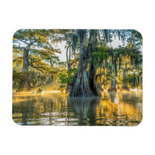 Lake Fausse Pointe State Park Magnet