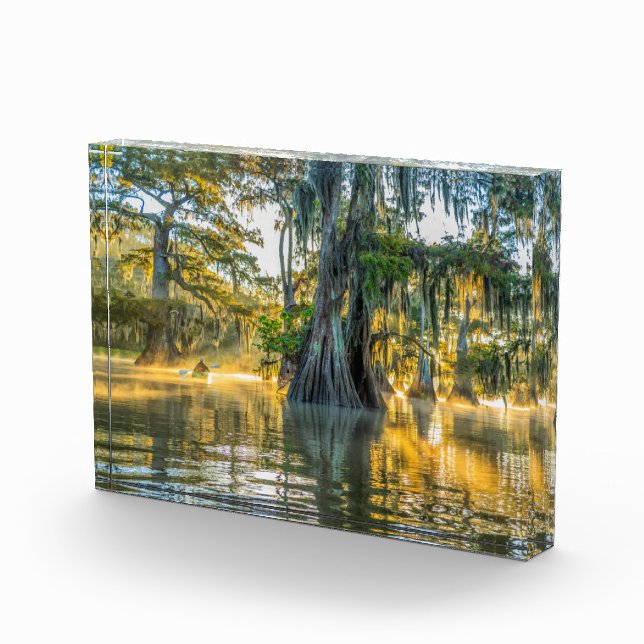 Lake Fausse Pointe State Park Photo Block (Right)