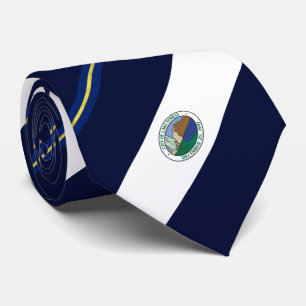 Lake Forest (California) city flag Neck Tie