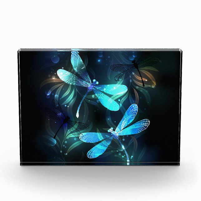 Lake Glowing Dragonflies Photo Block (Front)