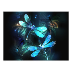 Lake Glowing Dragonflies Photo Print