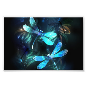 Lake Glowing Dragonflies Photo Print