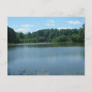 Lake Greenwood Cove Postcard