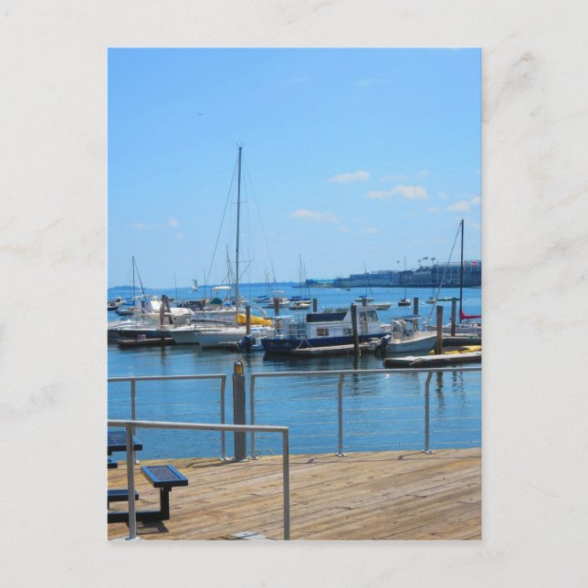 Lake Harbour SailBoats Lake view of Boston City Postcard (Front)