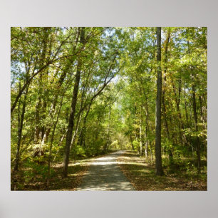 Lake Kittamaquandi Trail in Columbia Maryland Poster