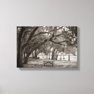 Lake Louisa SP #2 Canvas Print