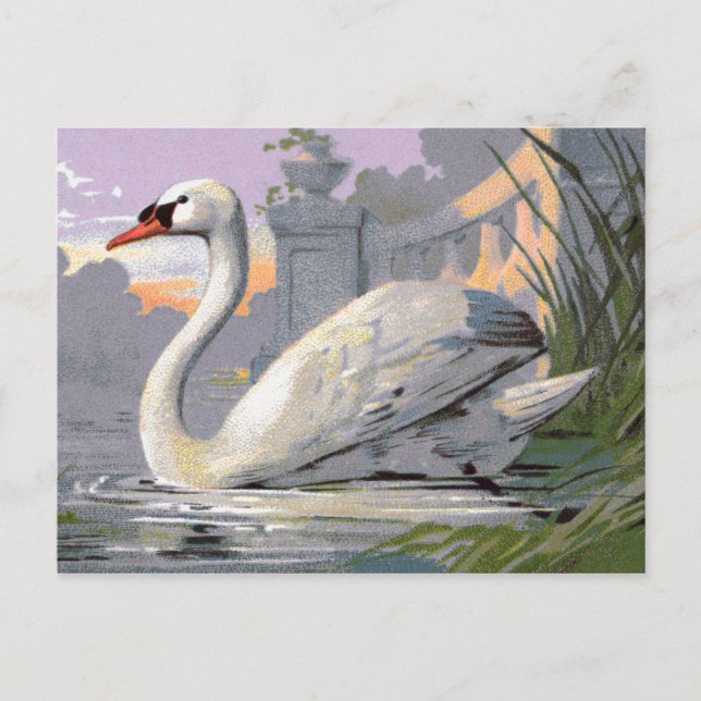 Lake Lugano Swan Postcard (Front)