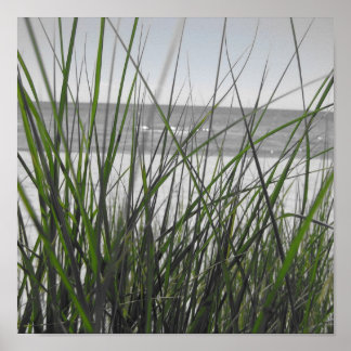 Lake Michigan behind grass Poster