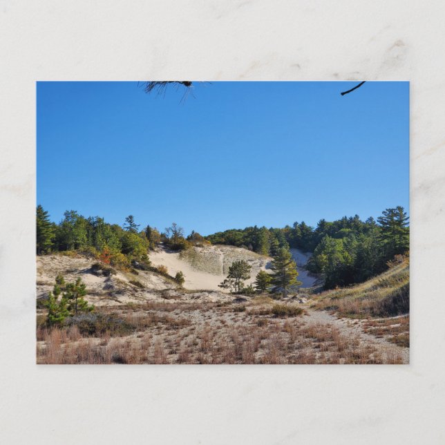 Lake Michigan Dunes Postcard (Front)